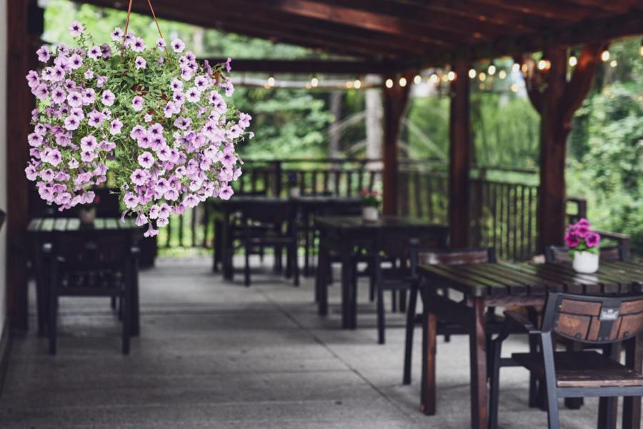 Hotel Promyk Wellness & Spa 카르파츠 외부 사진