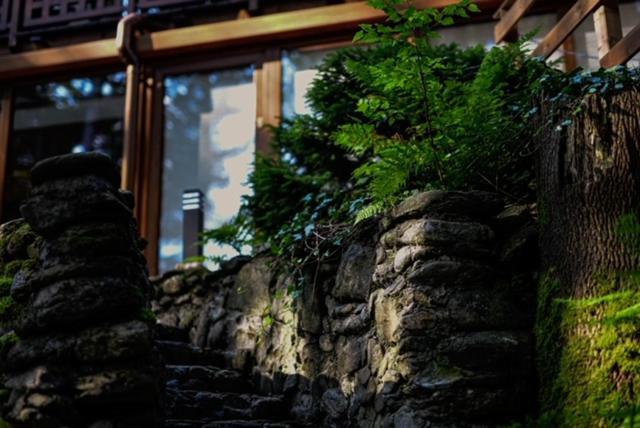 Hotel Promyk Wellness & Spa 카르파츠 외부 사진